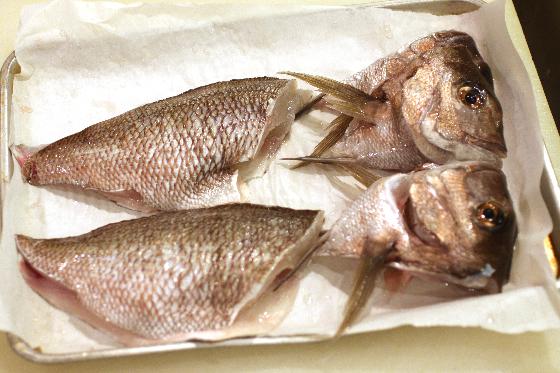 料理レシピ 真鯛の3枚おろし マダイのさばき方 釣り河北