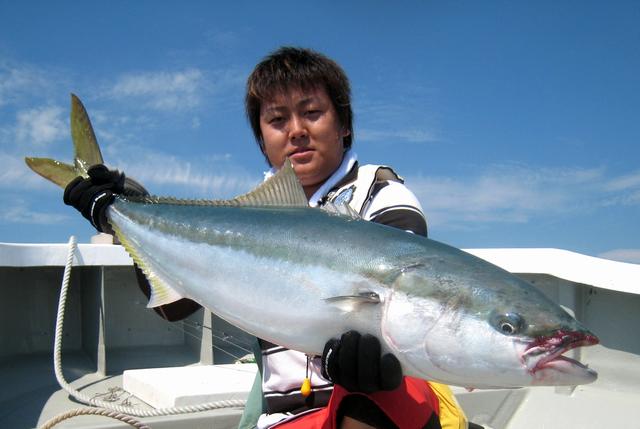 釣行記 三陸沿岸ブリ ワラサジギング好季 釣りtiki東北