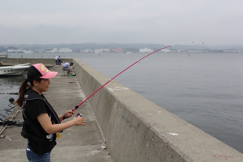 魚種別攻略法 | カレイ/投 | 釣種ごとに釣り方の基本をガイド | 釣りTiki東北