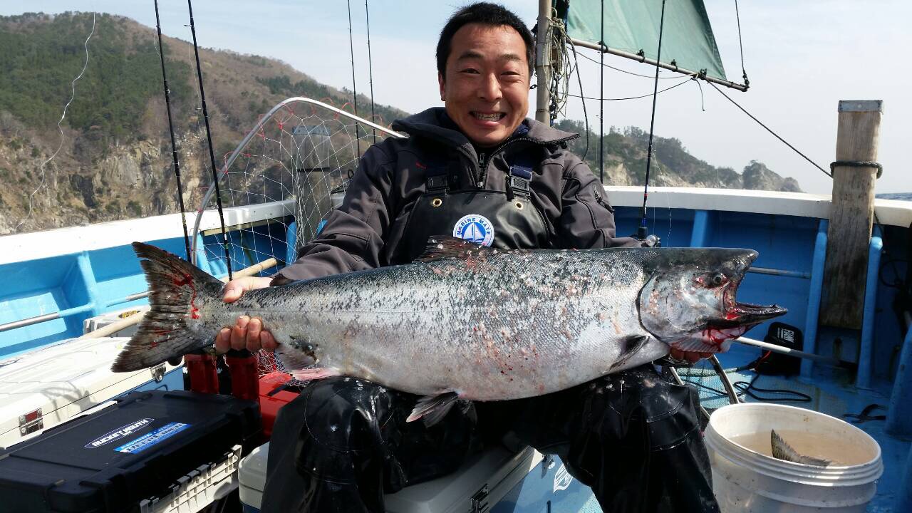 釣行記 越喜来湾でキングサーモン11kgの快挙 三陸マスジギング 釣りtiki東北
