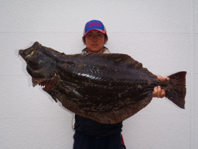 釣行記 仙台周辺サーフのヒラメ93cm 釣りtiki東北