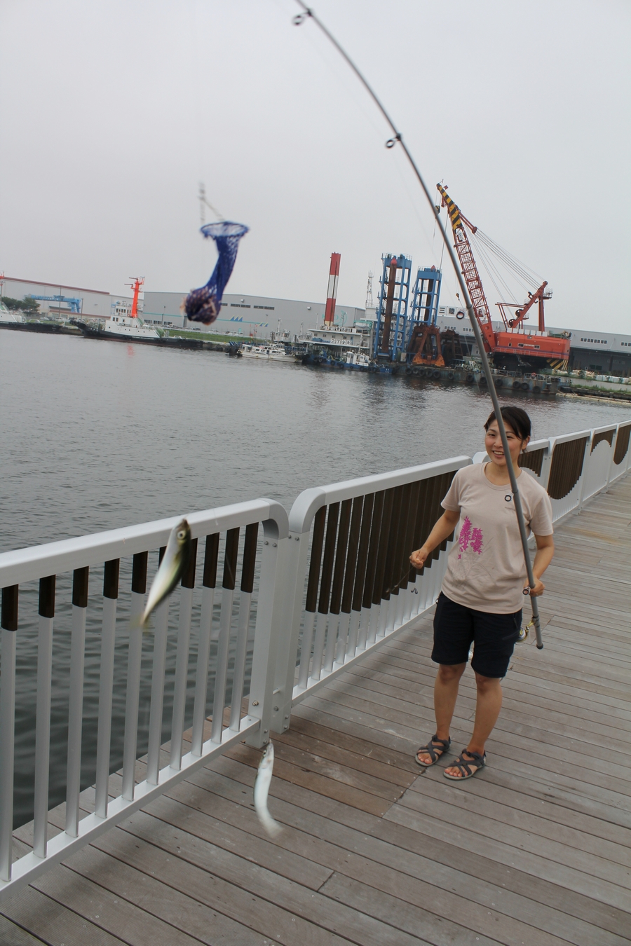 釣行記 仙台新港に待望の釣り公園がオープン 釣りtiki東北