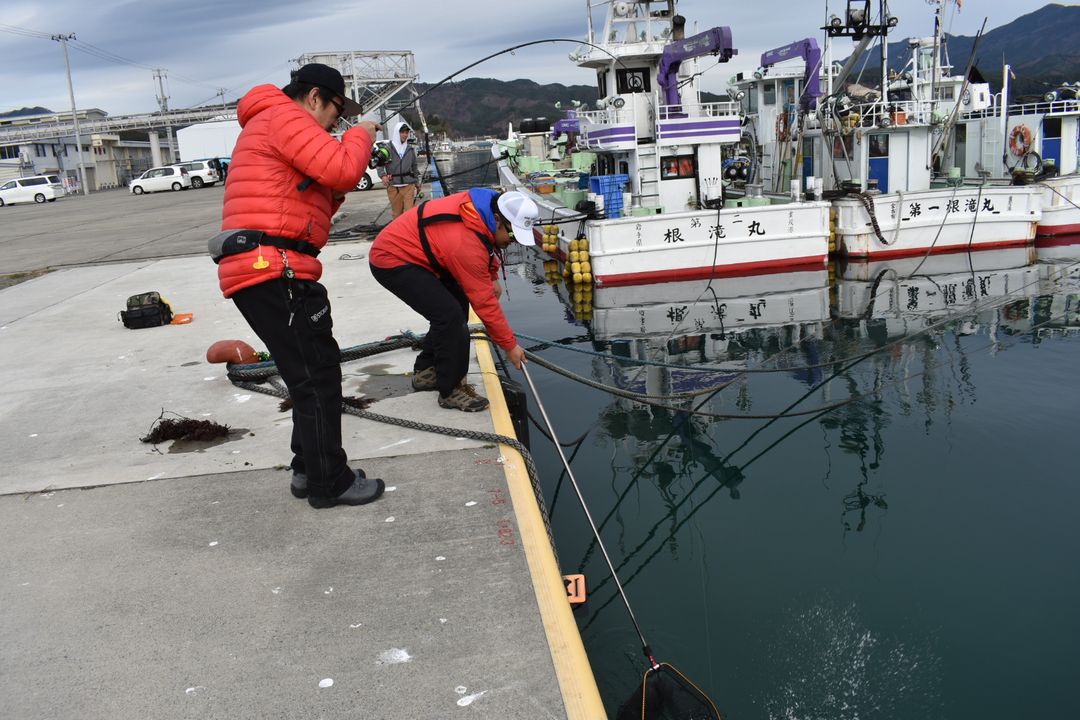 釣行記 岩手山田湾周辺 秋冬シーズン最盛期に陸っぱりロックの祭典 釣りtiki東北