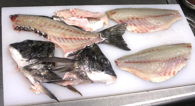 料理レシピ クロダイの3枚おろし 釣魚の料理法を画像入りで詳しく解説 釣りtiki東北