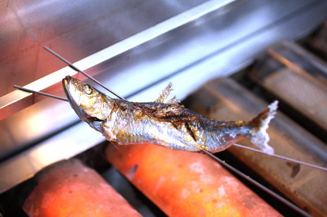 料理レシピ イワシの塩焼き 釣りtiki東北