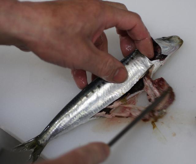 料理レシピ イワシの下準備2 鰯の頭を残す方法 釣魚の料理法を画像入りで詳しく解説 釣りtiki東北