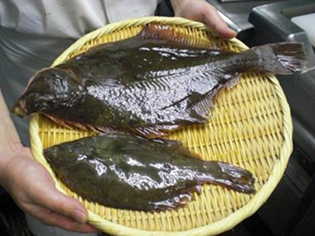 料理レシピ カレイの下準備 下処理方法 釣りtiki東北