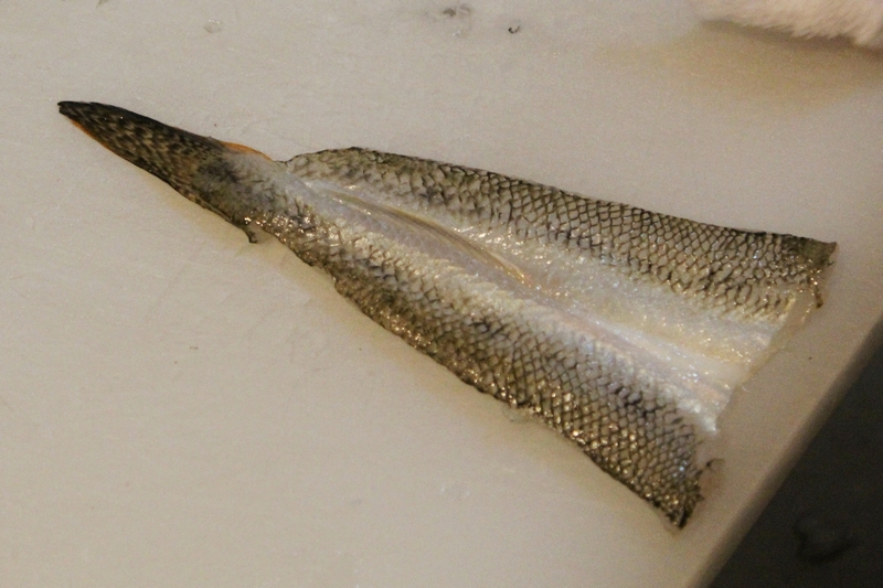 料理レシピ ハゼの開き 釣魚の料理法を画像入りで詳しく解説 釣りtiki東北