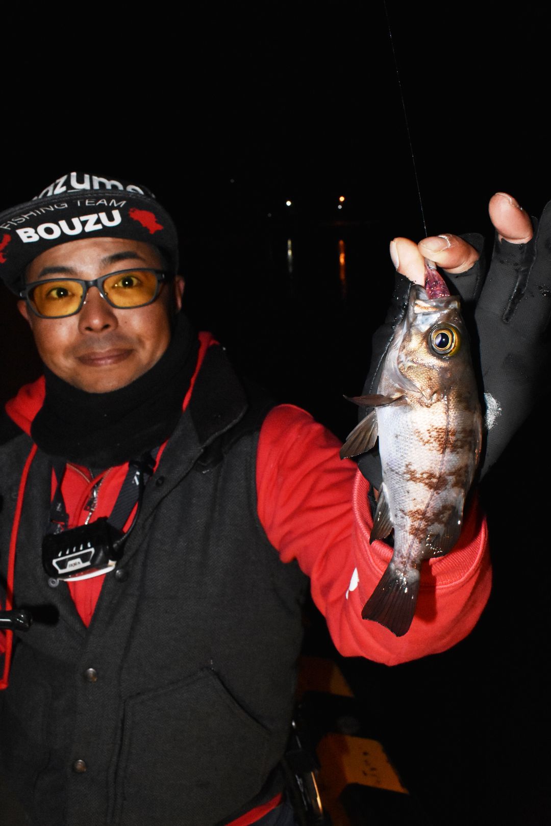 釣行記 光と音で攻略する夜の堤防ライトゲーム 釣りtiki東北