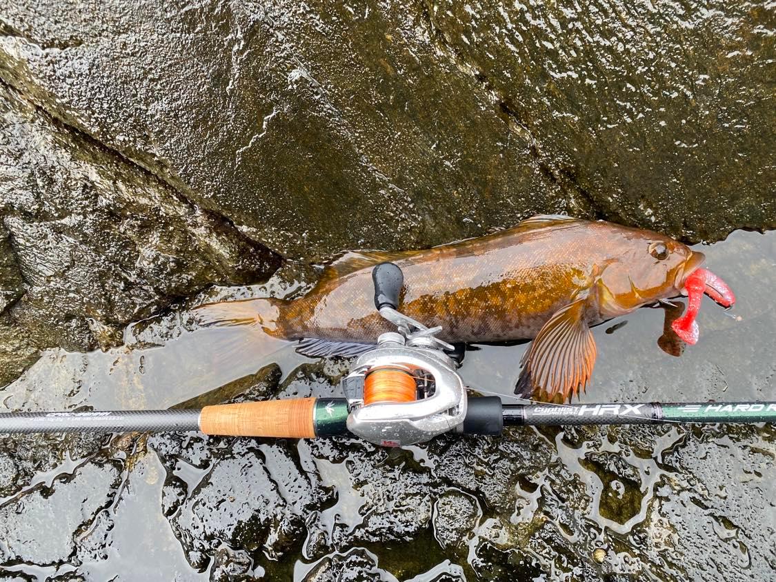 釣行記 | NEW CYPHLIST HRX PROSPEC～2本のオカッパリ用ベイトロッドのHOW TO USE～ | 釣りTiki東北