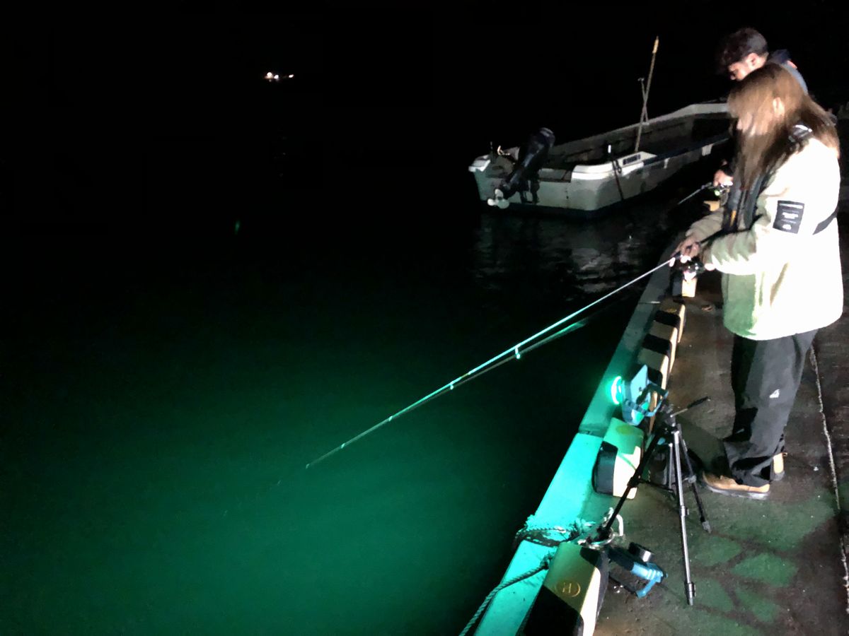 釣行記  充電式アジングライト集魚灯の威力で堤防アジング＆五目釣り