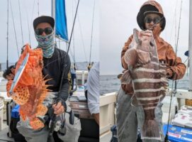 酒田沖のマハタとオニカサゴ高級根魚リレー
