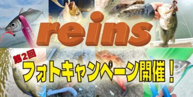 reins第2回フォトキャンペーン開催